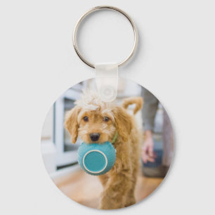Porte-clés Goldendoodle Carré Dîner Bowl
