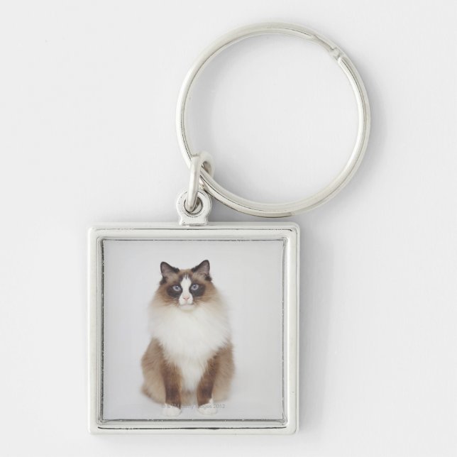 Porte-clés Grand chat velu (Devant)