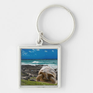 Porte-clés Grande tortue au bord de mer