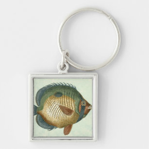 Porte-clés Grands poissons colorés
