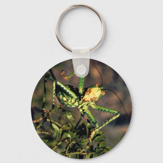 Porte-clés Grasshopper (Recto)