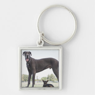 Porte-clés Great dane et petit chien de mélangé-race