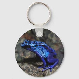 Porte-clés Grenouille à tarte à poison bleu, grenouille bleue