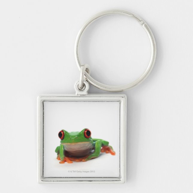 Porte-clés Grenouille d'arbre observée par rouge 2 (Devant)