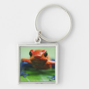 Porte-clés Grenouille de blue-jean