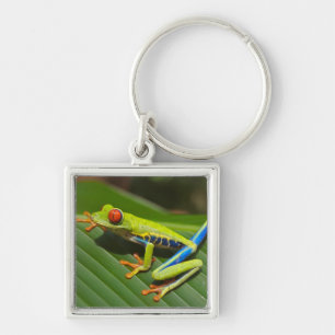 Porte-clés Grenouille verte de la jungle