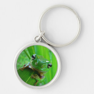 Porte-clés Grenouille verte sur Porte - clé feuille