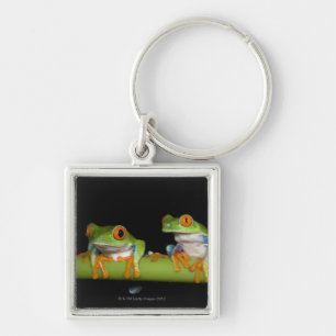 Porte-clés Grenouilles d'arbre aux yeux rouges (callidryas