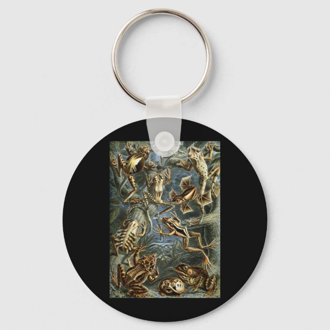 Porte-clés Grenouilles et crapauds (Recto)