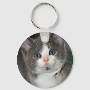 Porte-clés Gris/gris/argent et porte - clé blanc de chaton
