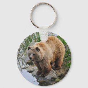 Porte-clés Grizzly Oear Wildlife Animal Photographie