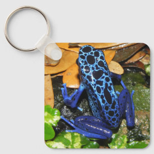 Porte-clés Gros plan d'une grenouille à carreaux bleu
