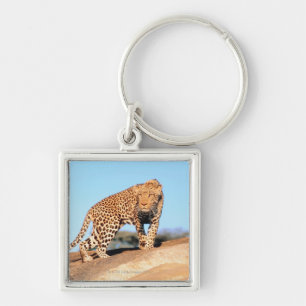 Porte-clés Guépard