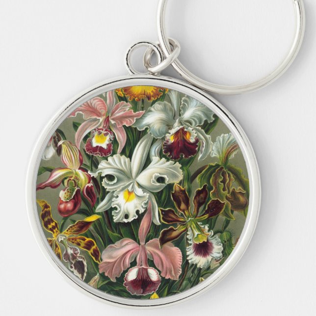 Porte-clés Haeckel (Devant)