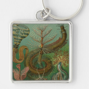 Porte-clés Haeckel Centipedes