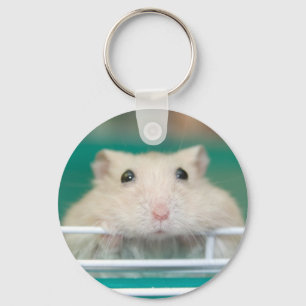Porte-clés Hamster : Mendier pour attirer l'attention