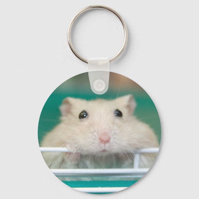 Porte-clés Hamster : Mendier pour attirer l'attention (Recto)