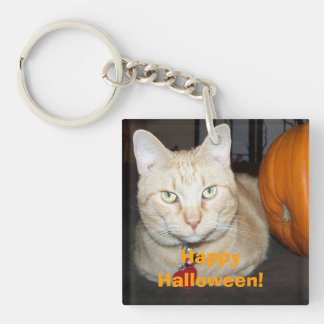 Porte-clés Happy Halloween Tabby Chat orange avec Citrouille