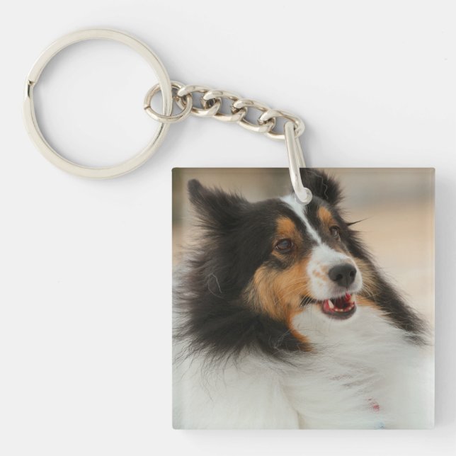 Porte-clés Happy Shelty Soccer Ball (Devant)