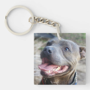 Porte-clés Happy Staffordshire Bull Terrier,