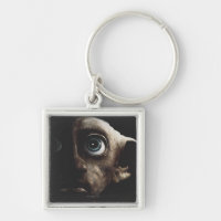 Hauteurs mortelles - Dobby
