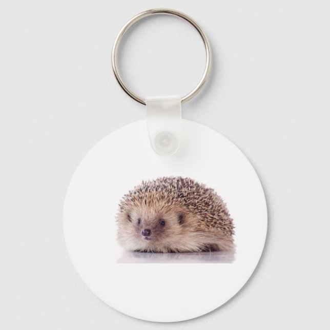 Porte-clés Hedgehog, (Recto)