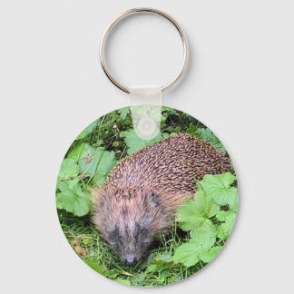 Porte-clés Herman Hedgehog