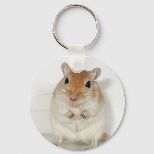 Porte-clés Herman le Porte - clé Gerbil (Recto)