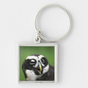 Porte-clés Hibou à lunettes (perspicillata de Pulsatrix)