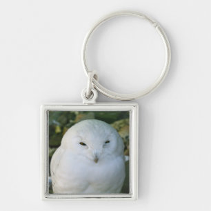 Porte-clés Hibou des neiges