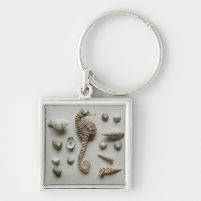 Porte-clés Hippocampe et coquilles (Devant)