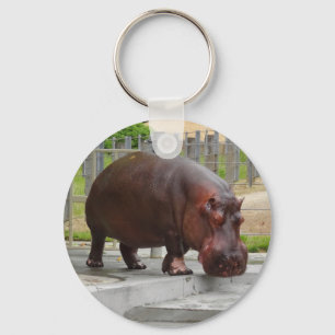 Porte-clés Hippopotamus #2 Keychain