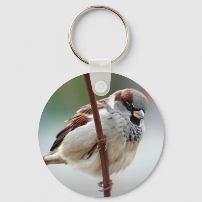 Porte-clés homme-moineau (Recto)