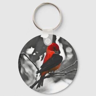 Porte-clés Homme Scarlet Tanager