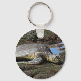 Porte-clés Honu reposant sur les rochers chauds