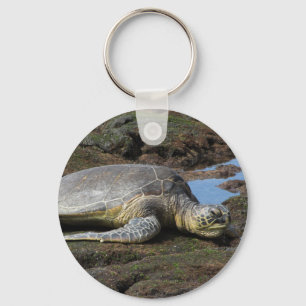 Porte-clés Honu reposant sur les rochers chauds
