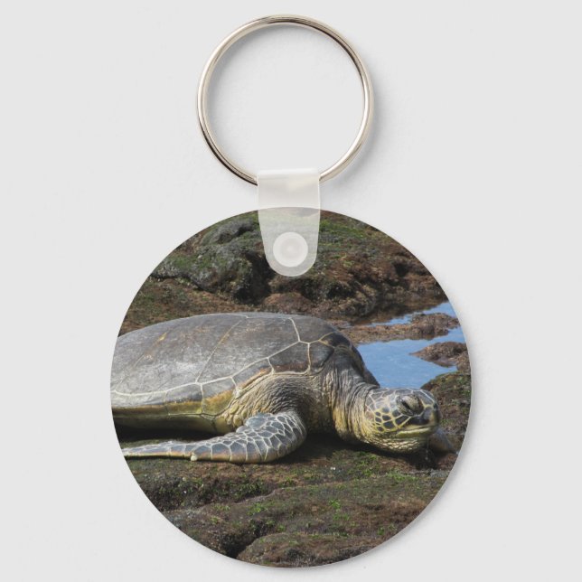 Porte-clés Honu reposant sur les rochers chauds (Recto)