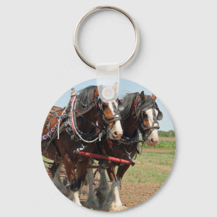 Porte-clés Horse Clydesdale Agriculture Photo