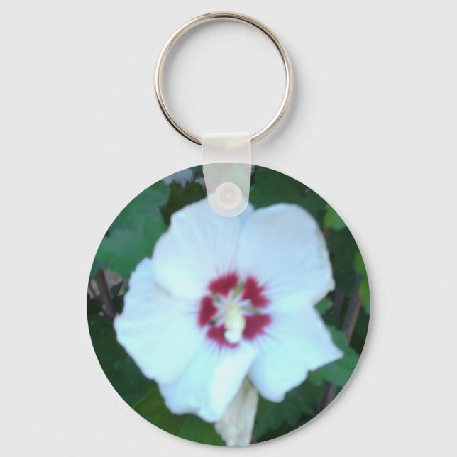 PORTE-CLÉS HPIM0580 (Recto)