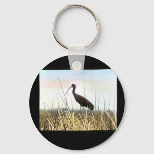 Porte-clés IBIS au visage pâle