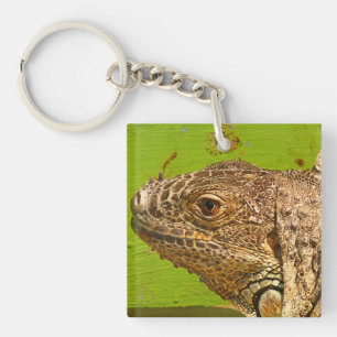 PORTE-CLÉS IGUANA