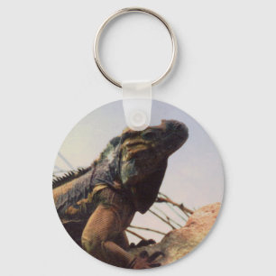 Porte-clés Iguane de rhinocéros