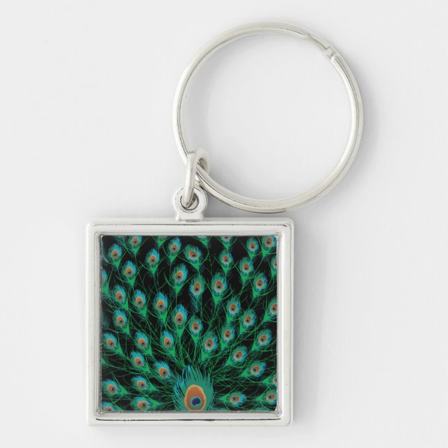 Porte-clés Illustration avec des plumes de paquetage sur le n (Devant)