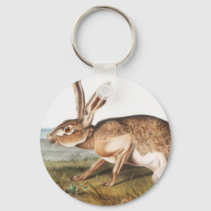 Porte-clés Illustration de lapin Lièvre texan (Lepus Texianus
