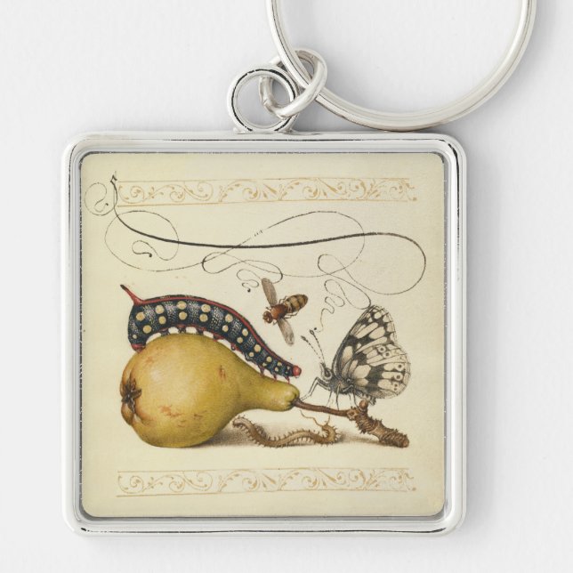 Porte-clés Illustration de l'insecte du fruit du papillon (Devant)