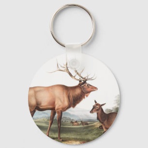 Porte-clés Illustration du wapiti américain (Cervus Canadensi