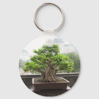 PORTE-CLÉS IMG_2887