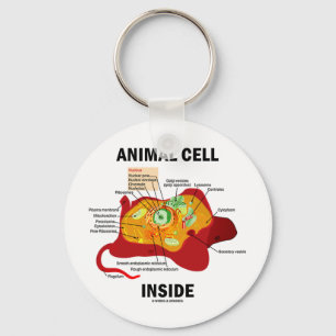 Porte-clés Intérieur animal de cellules (biologie cellulaire