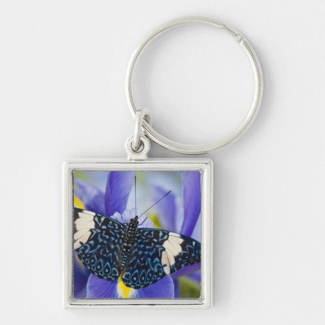 Porte-clés Iris pourpre papillon tropical (Devant)