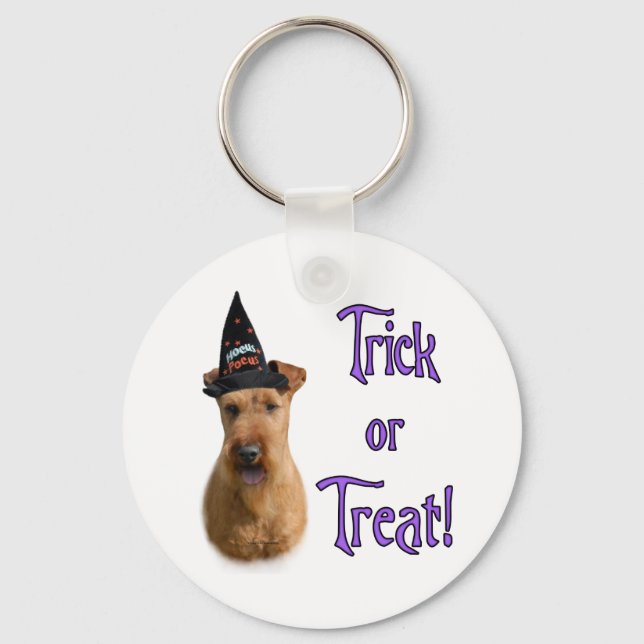 Porte-clés Irlandais Terrier Trick (Recto)